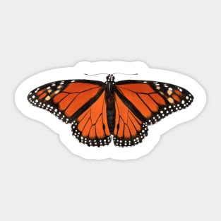 Monarch Sticker